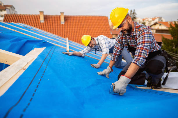 Best Roof Gutter Cleaning  in Navajo, NM